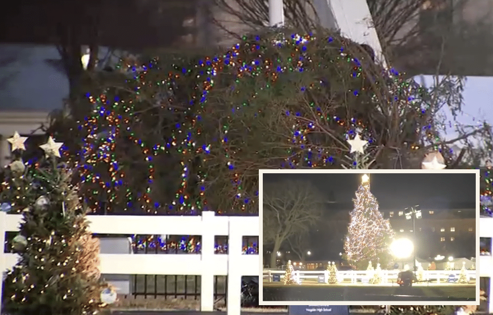 O CHRISTMAS TREE! Biden Christmas Tree Blown Over, Perfectly Sums Up ...